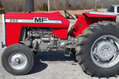 Massey Ferguson 255 of red color is standing