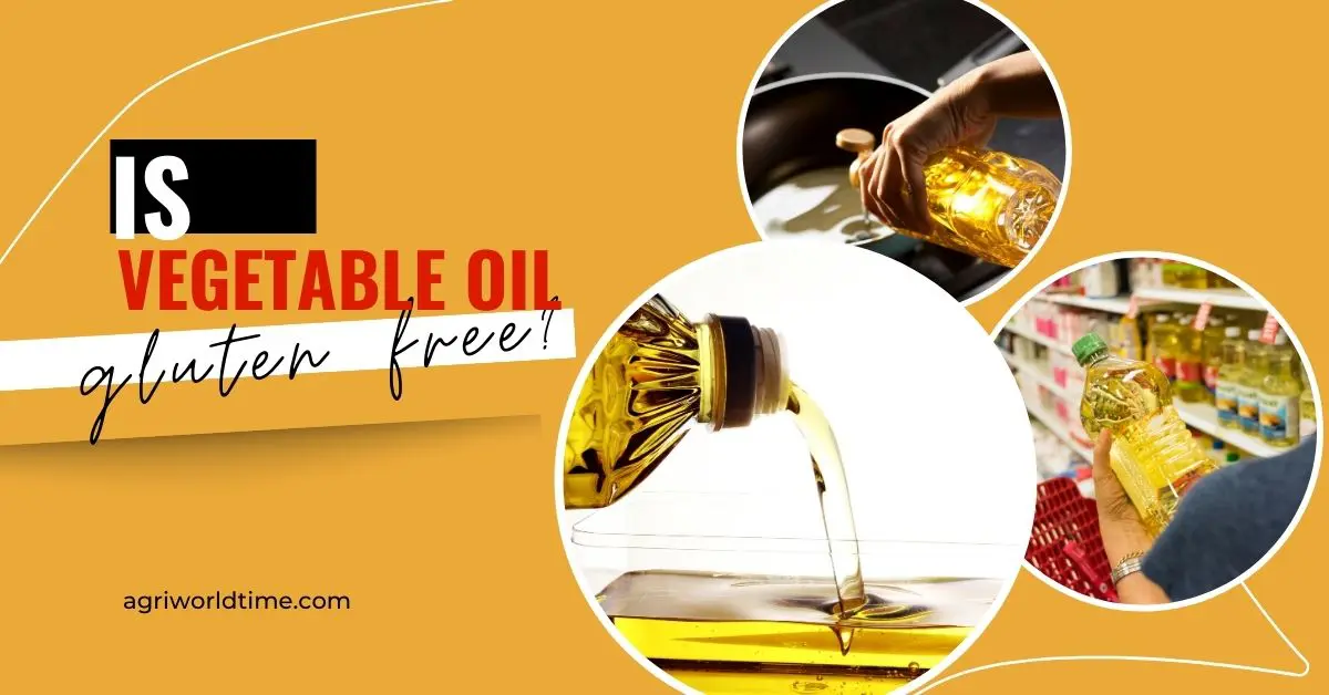 Is vegetable oil gluten free
