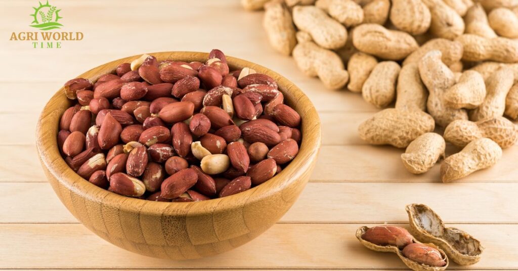 Peanuts and shelled peanuts in a bowl