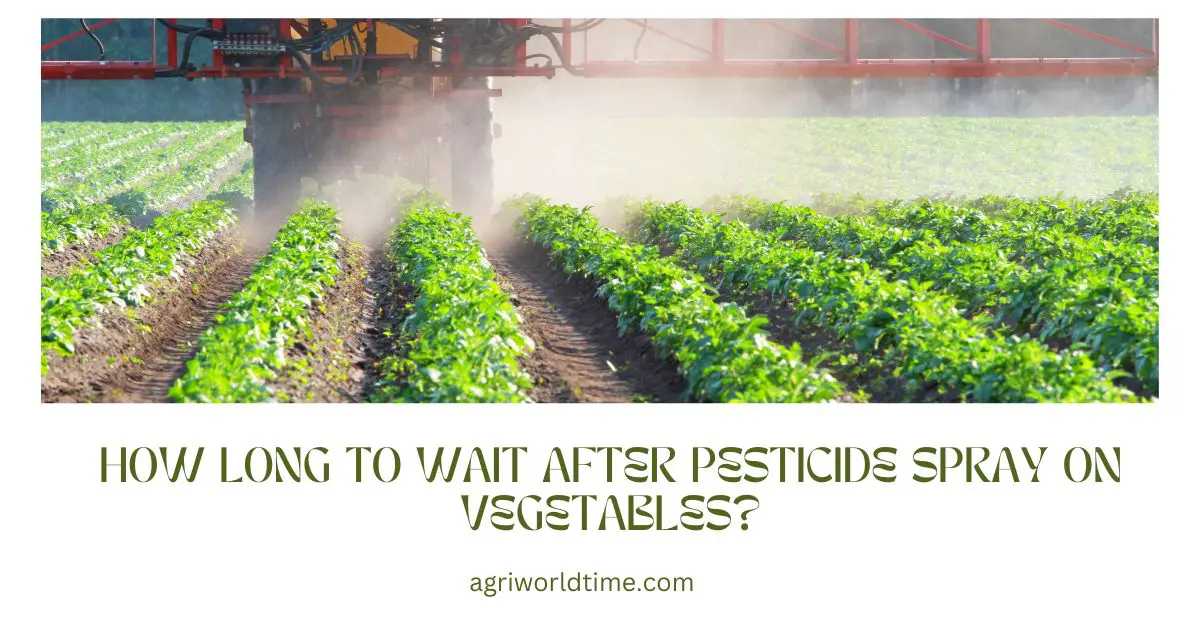 HOW LONG TO WAIT AFTER PESTICIDE SPRAY ON VEGETABLES