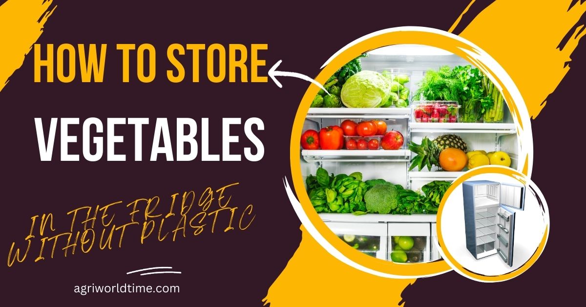 HOW TO STORE VEGETABLES IN THE FRIDGE WITHOUT PLASTIC