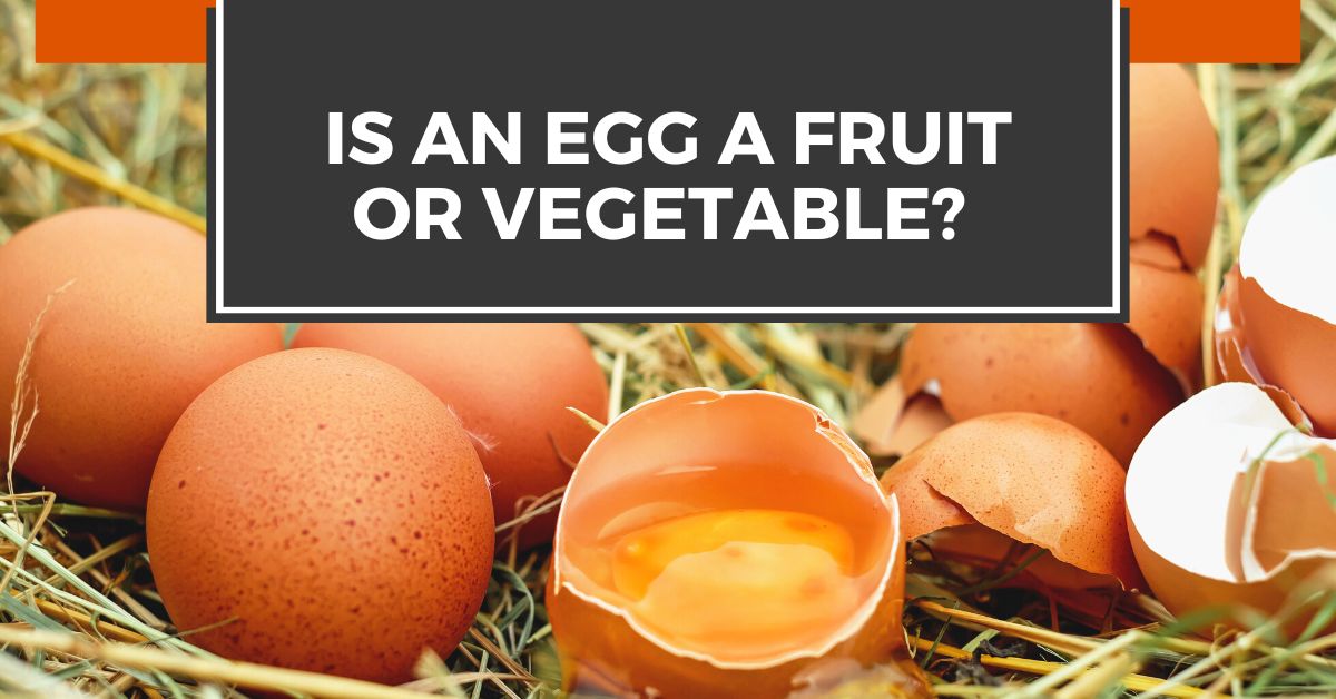 IS AN EGG A FRUIT OR VEGETABLE