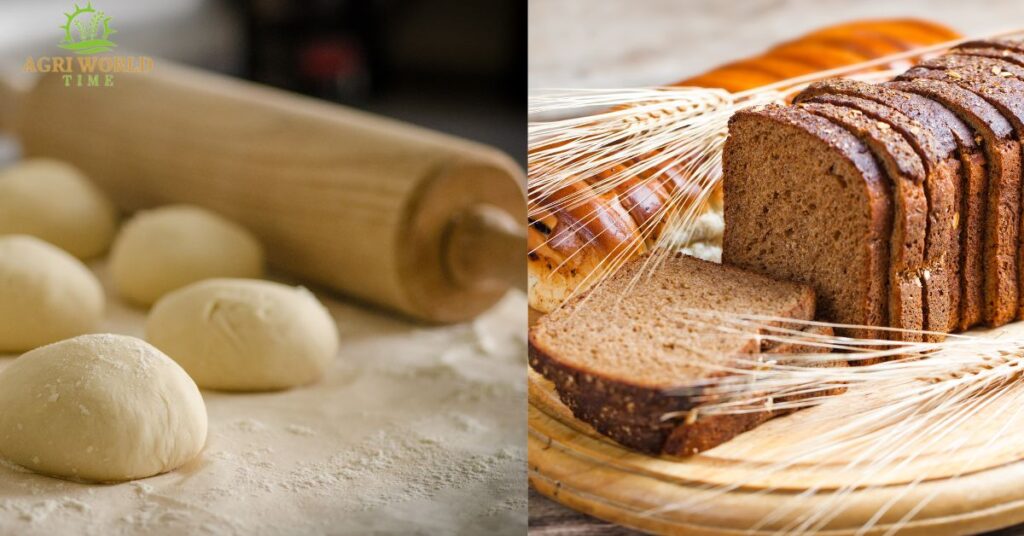 bread, wheat and flour  in a frame