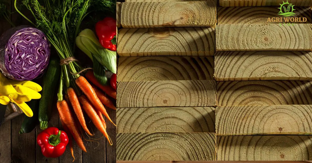 Is Home Depot Pressure Treated Lumber Safe for Vegetable Gardens