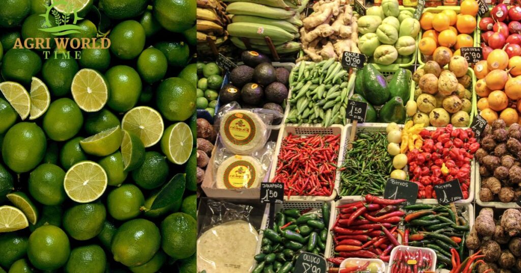 lime and different vegetables