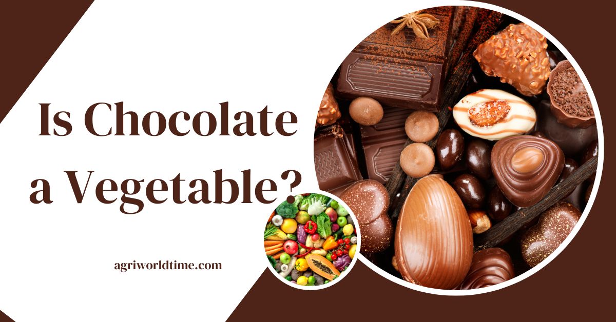 Is Chocolate a Vegetable