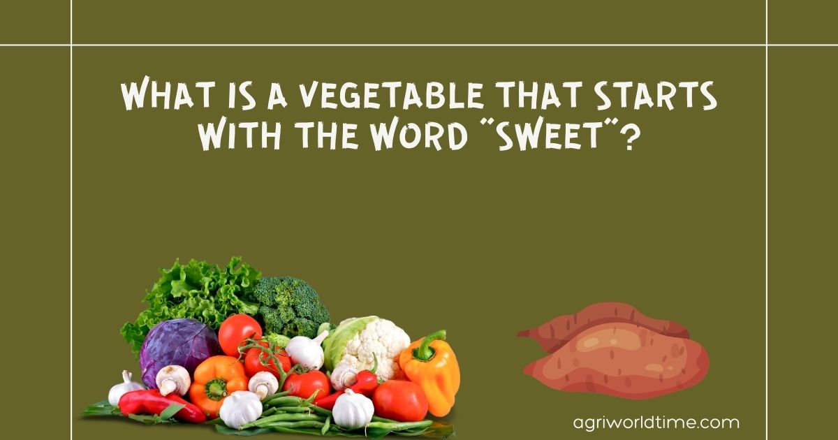 WHAT IS A VEGETABLE THAT STARTS WITH THE WORD SWEET