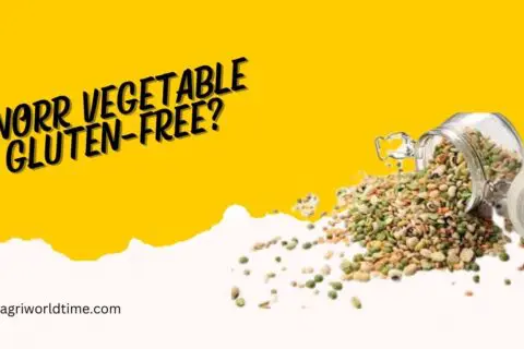 IS KNORR VEGETABLE MIX GLUTEN-FREE