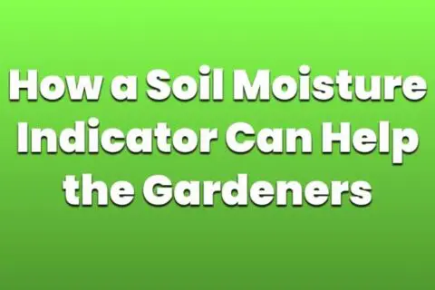 how-a-soil-moisture-indicator-can-help-the-gardeners