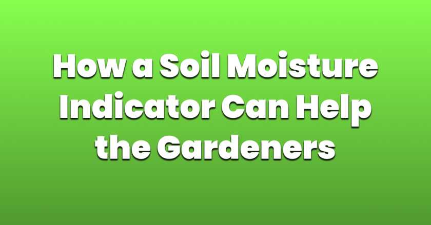 how-a-soil-moisture-indicator-can-help-the-gardeners