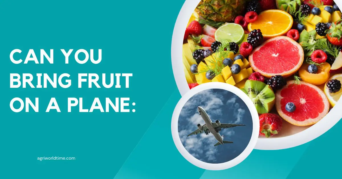 CAN YOU BRING FRUIT ON A PLANE